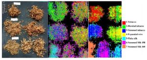 Classification of tobacco stalk filaments based on imaging hyperspectral techniques(초분광 이미징 기술 기반 담배 줄기 필라멘트 분류)