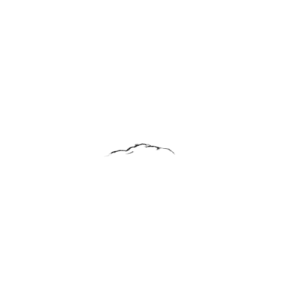 iScope-materials-banner_6