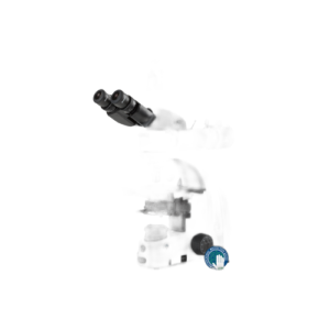 IS
